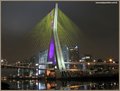 OFO_Bridge_ Sao Paulo